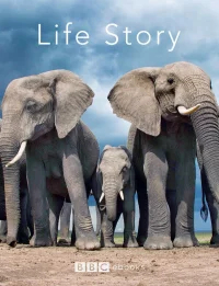 История жизни бесплатно